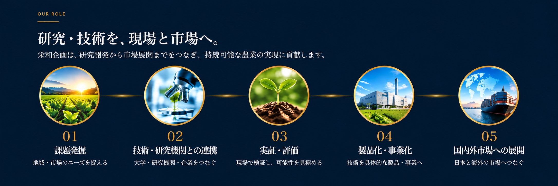 研究・技術を現場と市場へつなぐ栄和企画の5段階の役割を示すインフォグラフィック