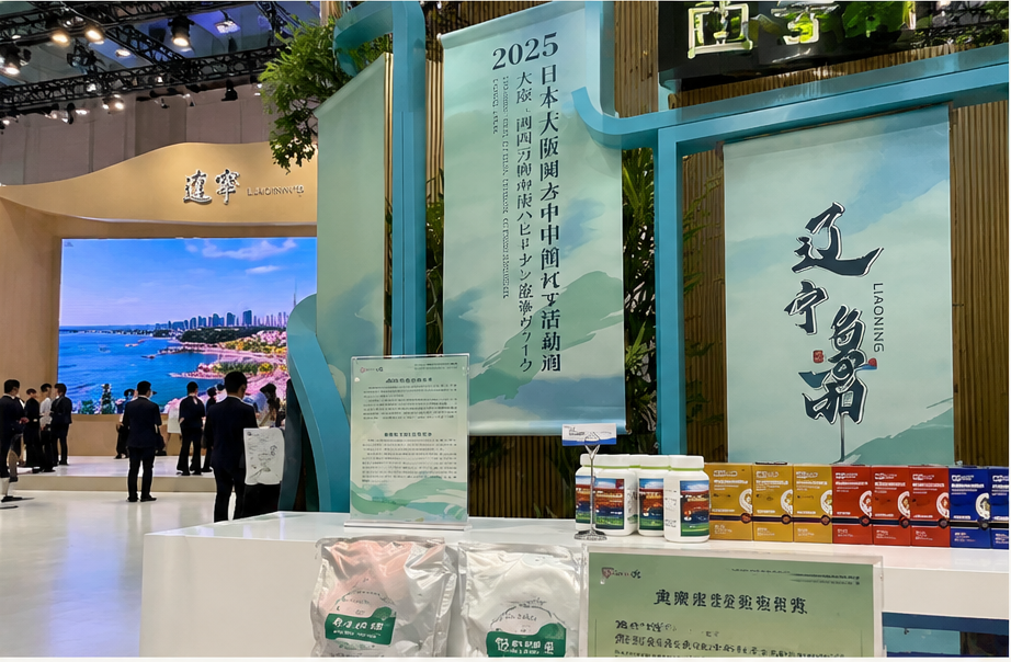 中国館・遼寧活動週の展示イメージ（生成画像）